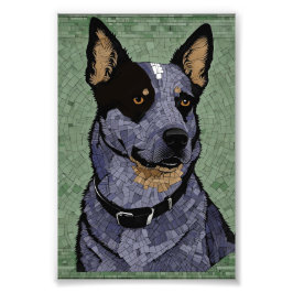Eleanor den Blue Heeler Fototryck