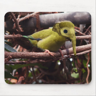 Elebird mousepad musmatta