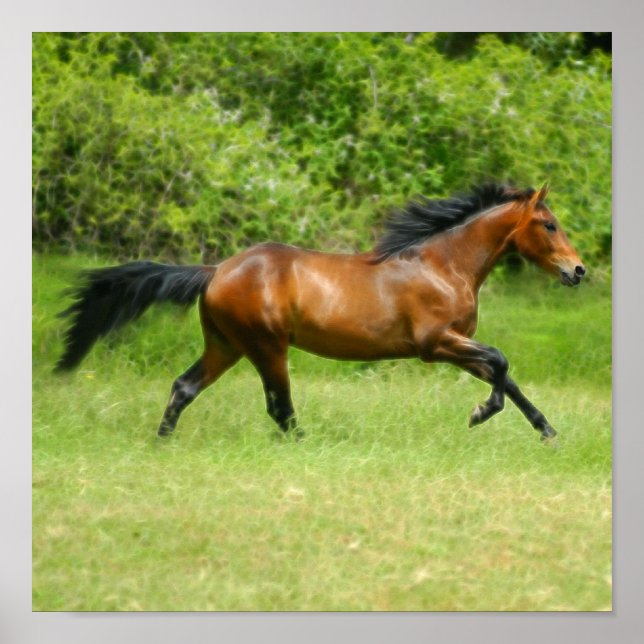 Elechorse Poster (Framsidan)