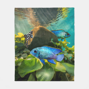 Electric Blue Acara Cichlids Zebra Pleco Fish Art Fleecefilt