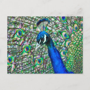 Electric Peacock Head Vykort