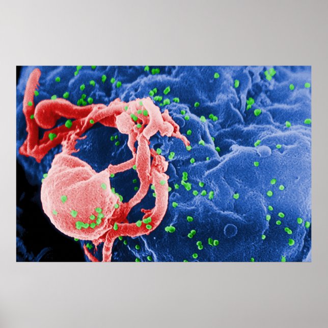 Electron Micrograph of HIV-1 Budding Lymphocyte Poster (Framsidan)
