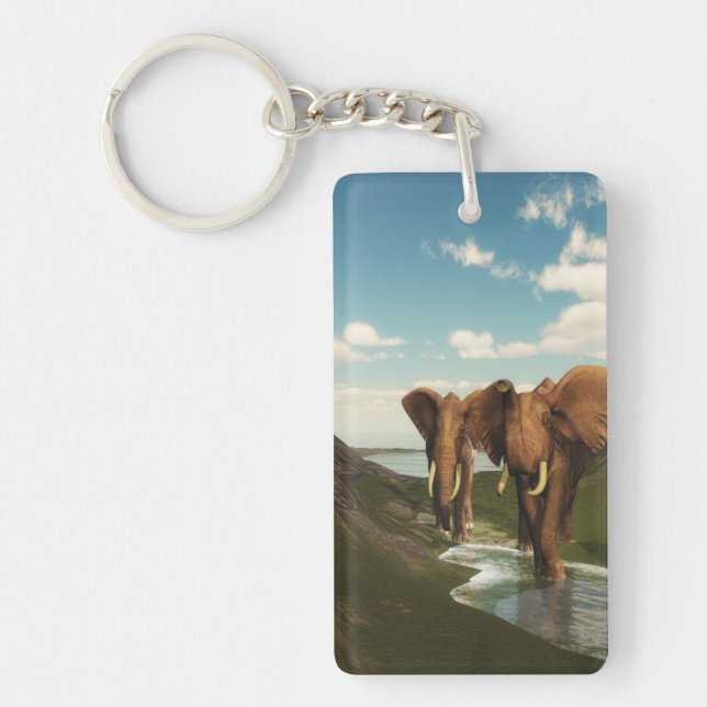 Elefant (Framsidan)