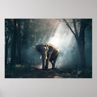 elefant-1822636 poster