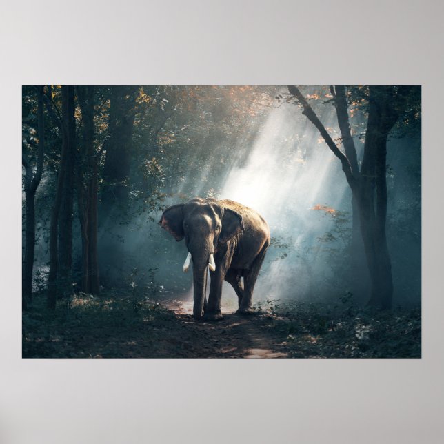 elefant-1822636 poster (Framsidan)