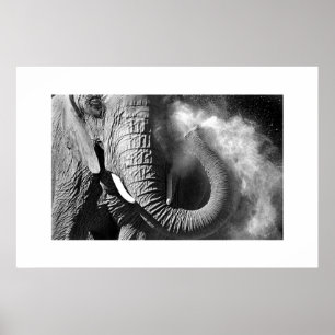 Elefant #1 poster
