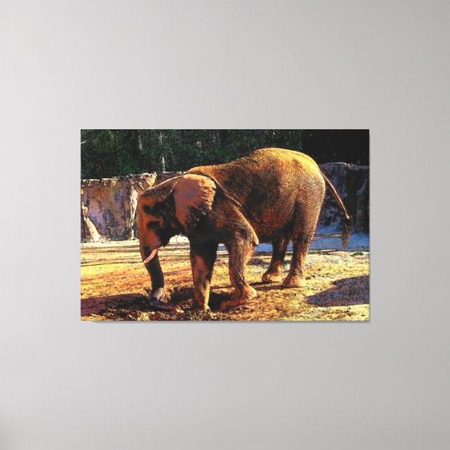 Elefant 1Design Canvastryck (Framsida)