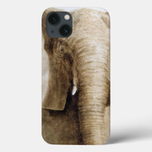 Elefant 2004