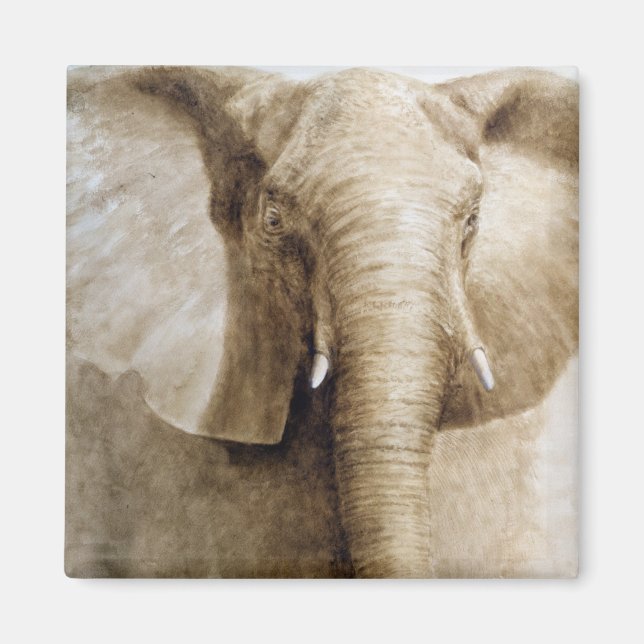 Elefant 2004 magnet (Framsidan)