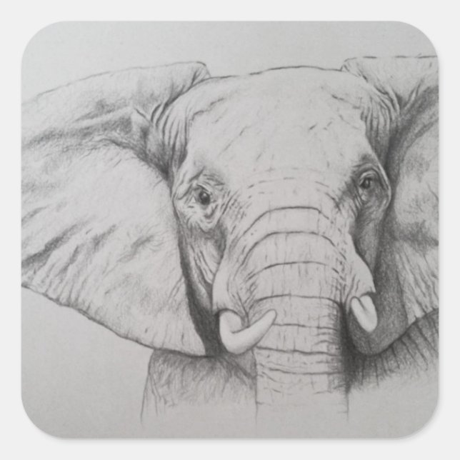 Elefant 2011 fyrkantigt klistermärke (Framsida)