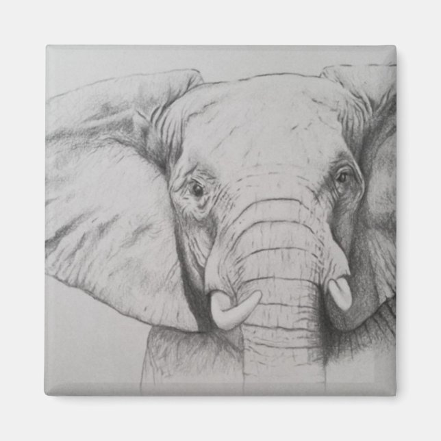 Elefant 2011 magnet (Framsidan)