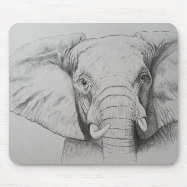 Elefant 2011 musmatta (Framsidan)