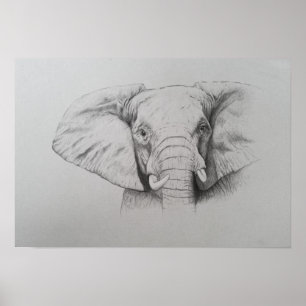 Elefant 2011 poster