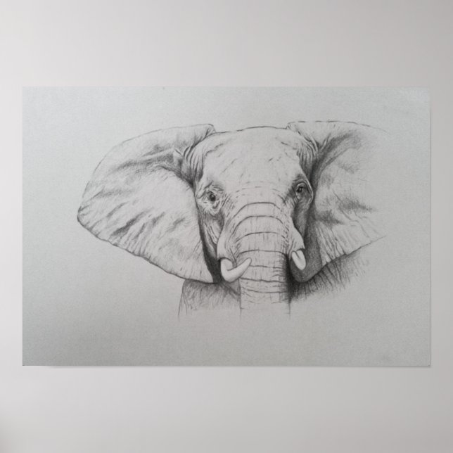 Elefant 2011 poster (Framsidan)