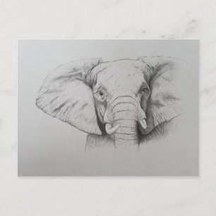Elefant 2011 vykort
