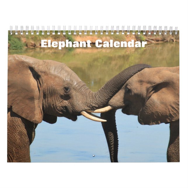 Elefant 2025 kalender (Omslag)