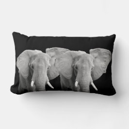 Elefant Animal Photos on Black Background Lumbarkudde