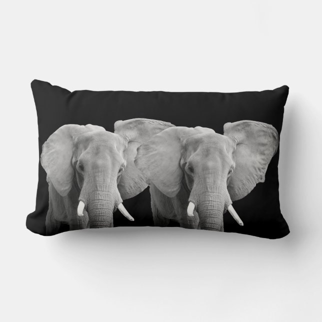 Elefant Animal Photos on Black Background Lumbarkudde (Framsida)