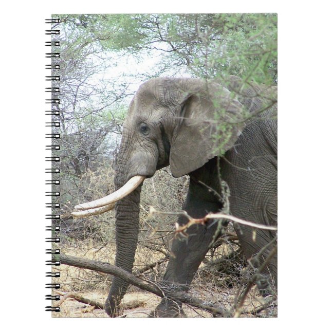 Elefant bärbar dator anteckningsbok med spiral (Framsidan)