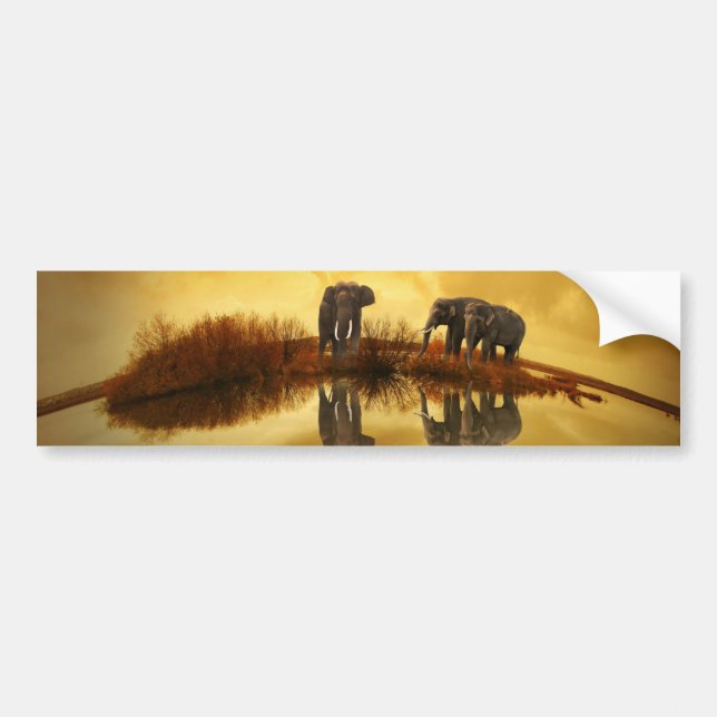 Elefant Bildekal (Framsidan)