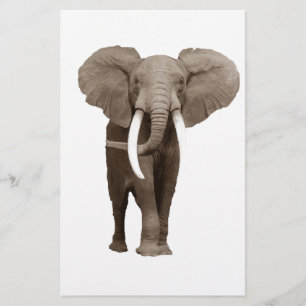 Elefant Brevpapper