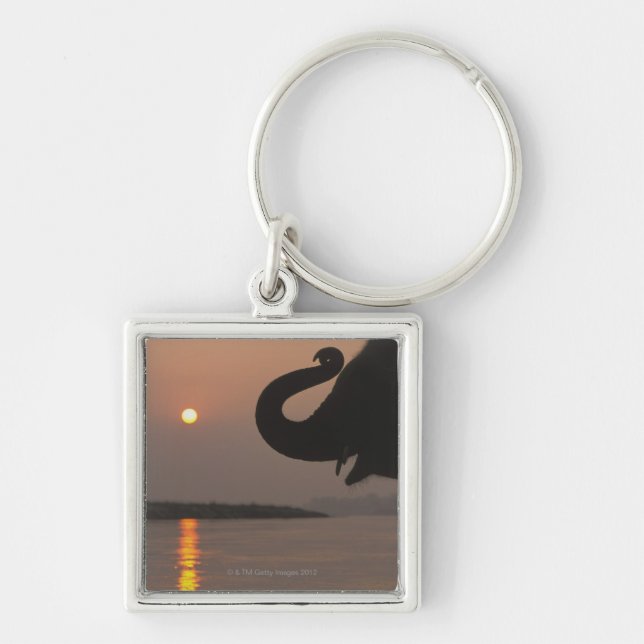 Elefant Chitwan nationalpark, Nepal Fyrkantig Silverfärgad Nyckelring (Framsidan)
