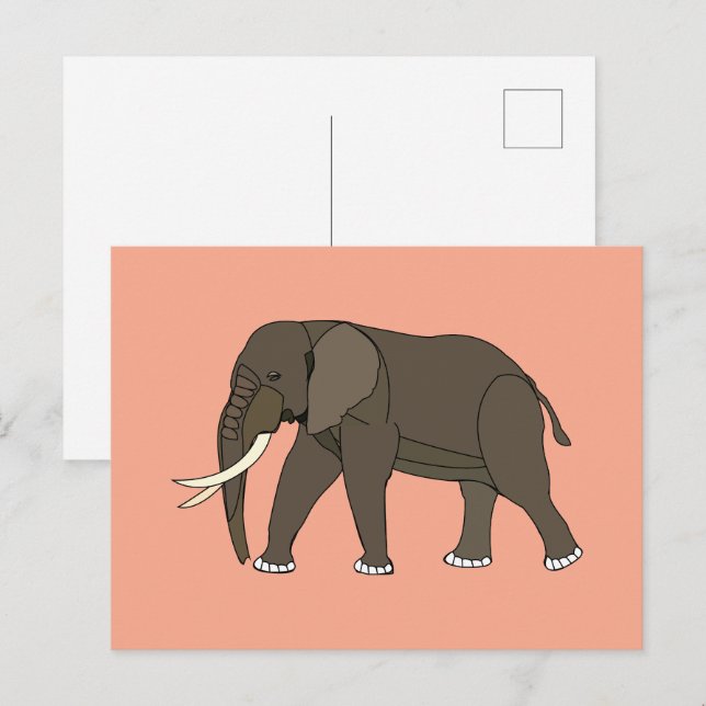 Elefant Djur Vykort (Fram/baksida)