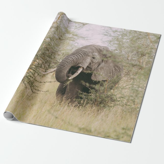 ELEFANT EATING UTANFÖR A TRÄD PRESENTPAPPER (Utrullad)