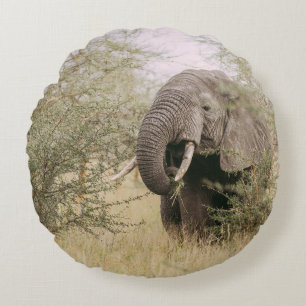ELEFANT EATING UTANFÖR A TRÄD RUND KUDDE
