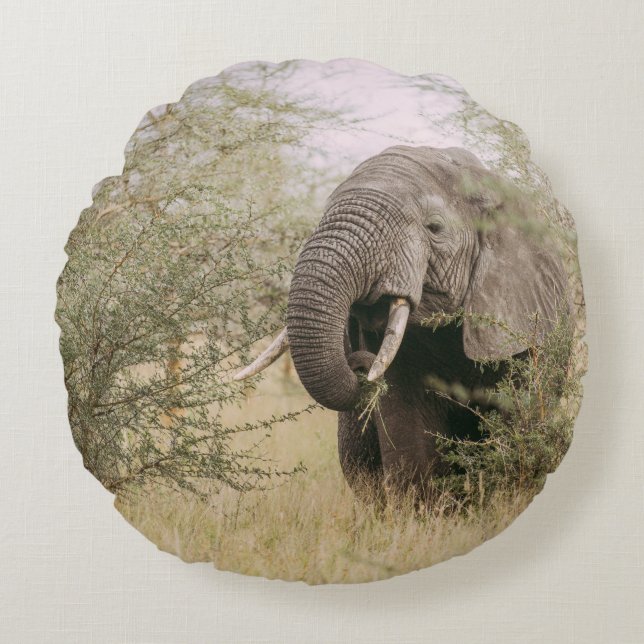 ELEFANT EATING UTANFÖR A TRÄD RUND KUDDE (Framsidan)