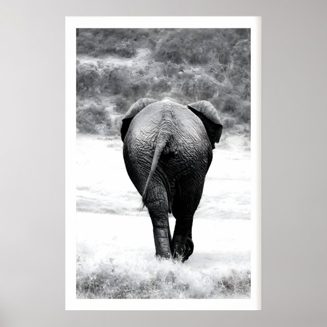 Elefant Fotografi Print Monokrom Natur Konst Poster (Framsidan)