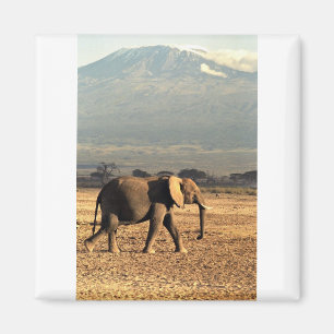 Elefant framme av Kilimanjaro Magnet