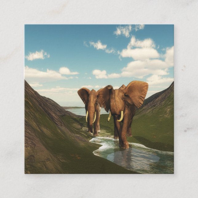 Elefant Fyrkantigt Visitkort (Framsida)