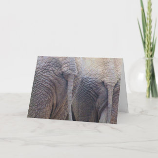 Elefant Gratulationskort Kort