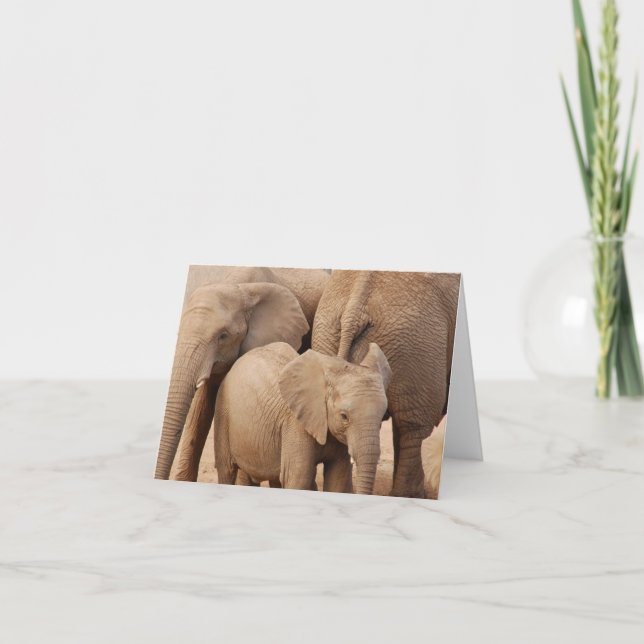 Elefant Greeting Card - tomt Kort (Framsida)