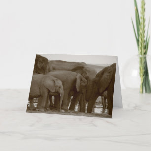 Elefant Greeting Cards för en sak Kort