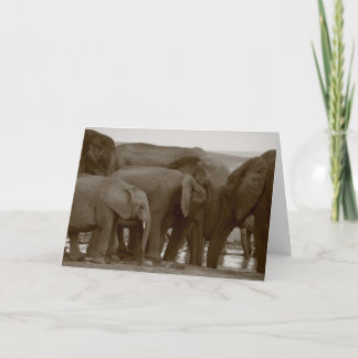 Elefant Greeting Cards för en sak Kort