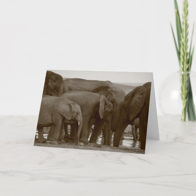 Elefant Greeting Cards för en sak Kort (Framsida)