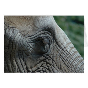 Elefant Hälsningskort