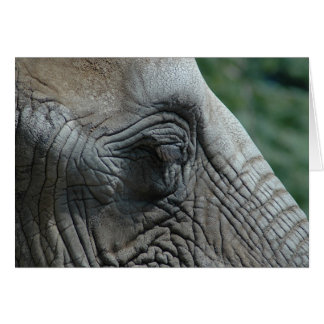 Elefant Hälsningskort