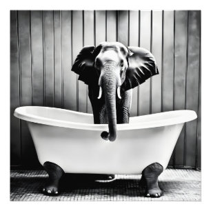 Elefant i bad fototryck