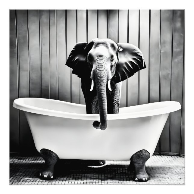 Elefant i bad fototryck (Framsidan)