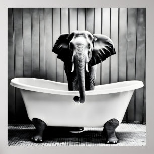 Elefant i bad poster