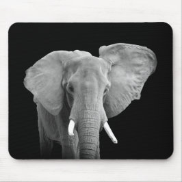 Elefant i Black and White Musmatta
