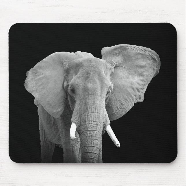 Elefant i Black and White Musmatta (Framsidan)