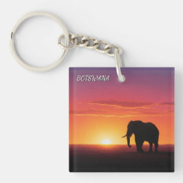 Elefant i Botswana-solresa