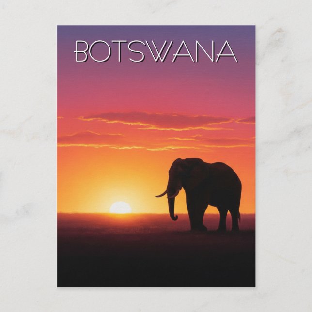 Elefant i Botswana-solresa Vykort (Framsida)