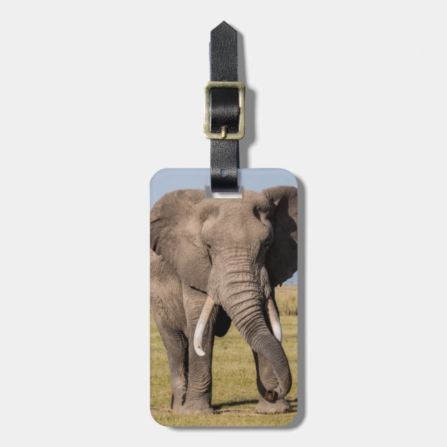 Elefant i en aggressiv ställning bagagebricka (Vertikal Framsida)