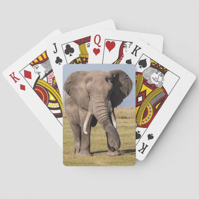 Elefant i en aggressiv ställning casinokort (Baksidan)
