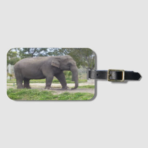 Elefant i lugn äng bagagebricka
